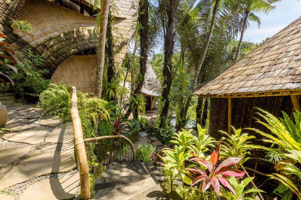 Eclipse House 4Bds Eco Bamboo House Pool Riverview Bringkit エクステリア 写真