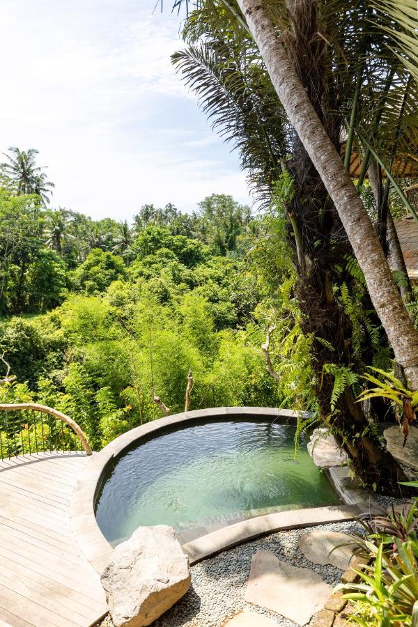 Eclipse House 4Bds Eco Bamboo House Pool Riverview Bringkit エクステリア 写真